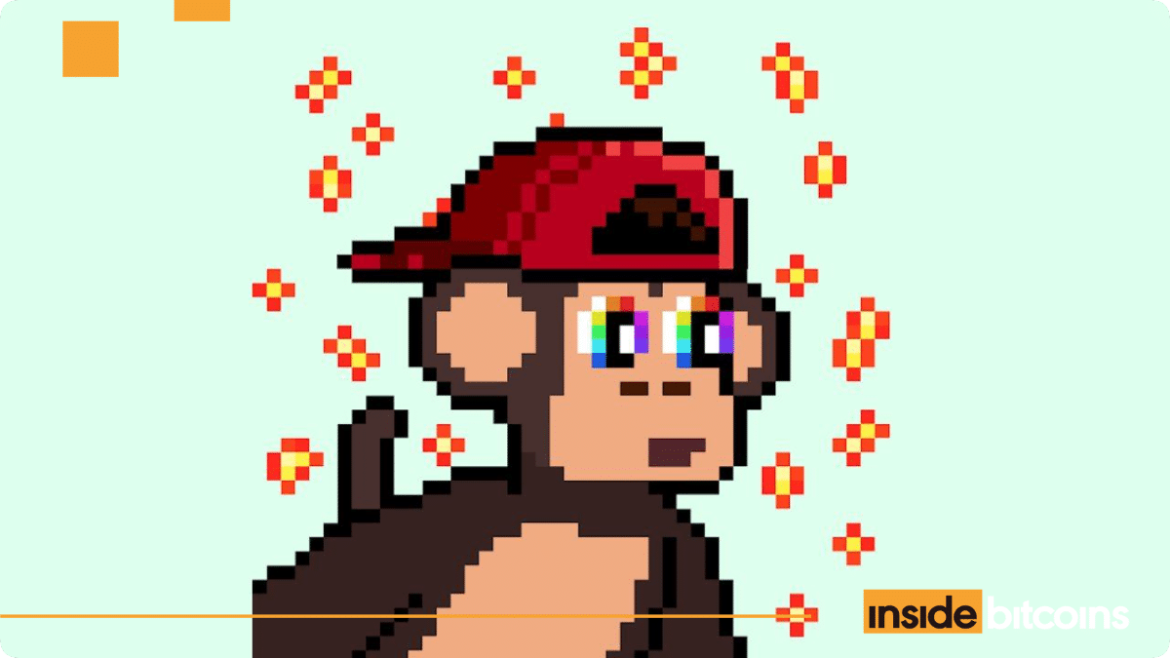 Chimpers NFT Series_optimized