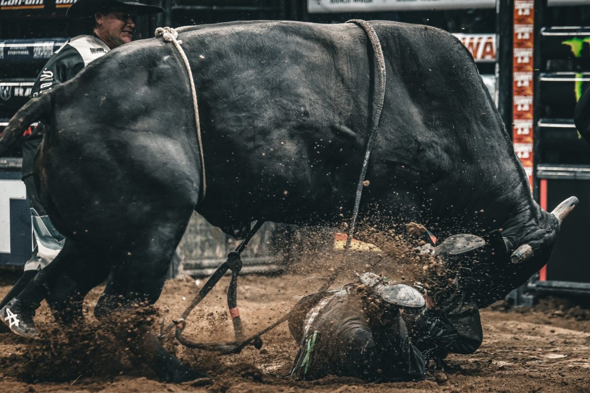 Ethereum Beware — Analyst Says XRP’s Next Bull Run Could Be Deadly