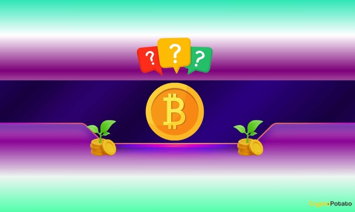 Is $91K Next for Bitcoin's Price If it Fails to Reclaim This Crucial Resistance?