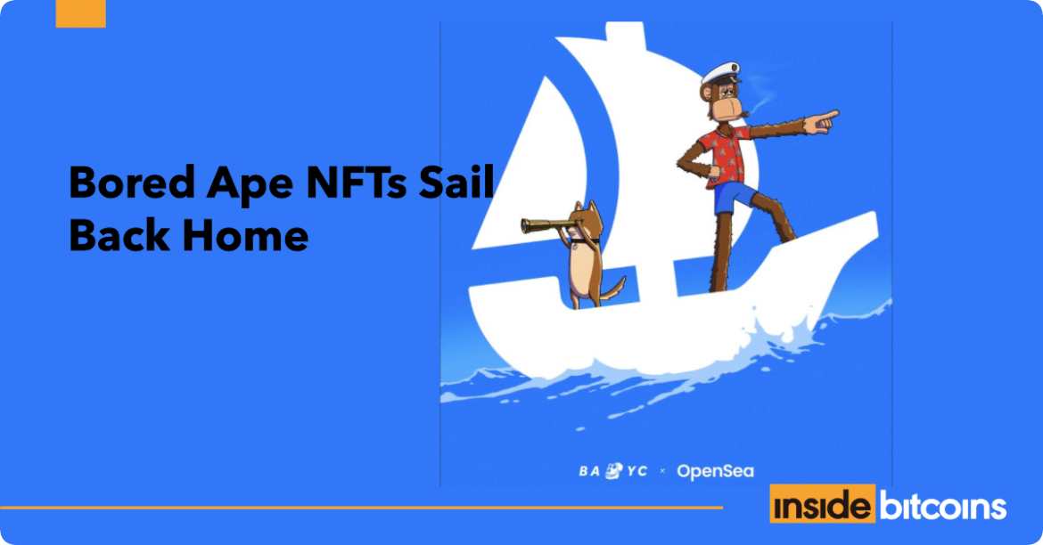 Bored Apes sails home_optimized