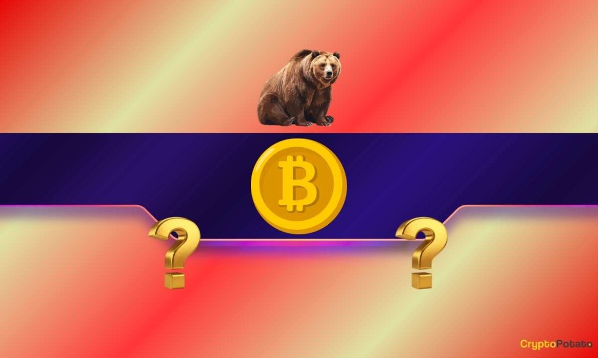 BTC Crashes $3K in Minutes as Whale Reportedly Wrecked for $1 Billion