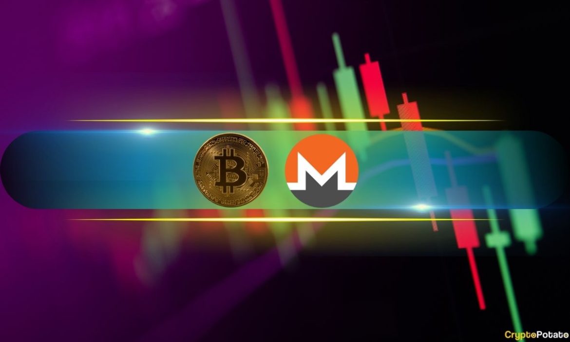 BTC Recovers Swiftly and Eyes $79K Again, XMR Surges Above $500: Market Watch