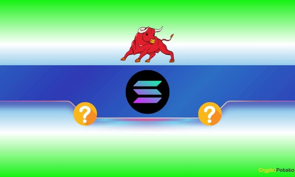 The Start of a Mega Rally or a Bull Trap?