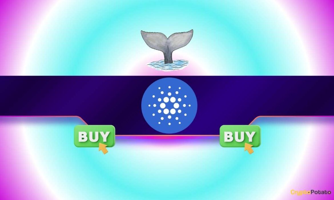 Why Is Cardano (ADA) Up 9% Today While the Crypto Market Stalls?